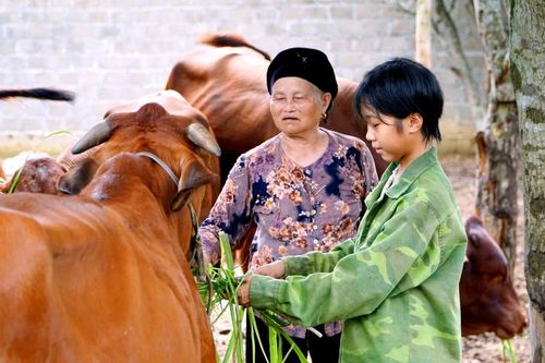Bảo Yên: Lan tỏa ý chí, nghị lực thoát nghèo