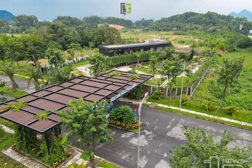 'Xanh hóa' kiến trúc đô thị
