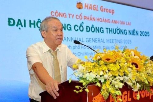 Vì sao Hoàng Anh Gia Lai (HAG) quyết trồng hàng nghìn ha dâu tằm, cà phê Arabica?