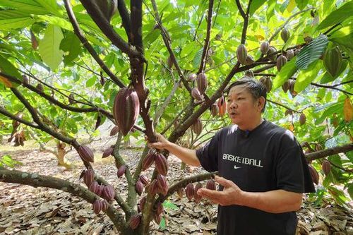 Kiên trì với nông nghiệp hữu cơ để có sản phẩm sạch