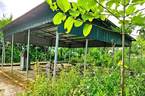 'Cứu' bảo vật Quốc gia
