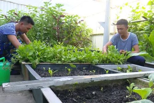 Màu xanh ở Trường Sa
