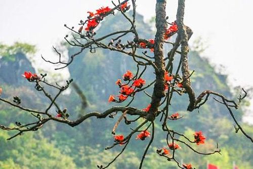 Sẵn lửa, lửa mới sinh...