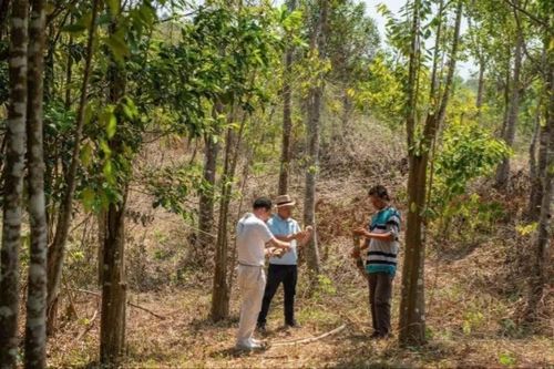 Qua xứ trầm hương: Khơi lại hương xưa, xây tương lai mới