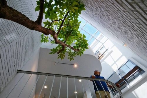 Biến khu đất siêu méo thành ngôi nhà ngập tràn ánh sáng