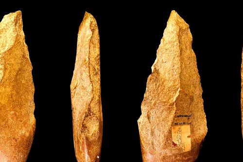 Sự thật chấn động về chất keo kết dính 20.000 năm tuổi