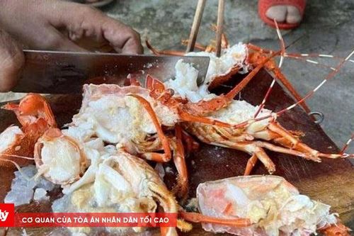 Lật tẩy chiêu trò biến tôm hùm chết thành hàng tươi sống