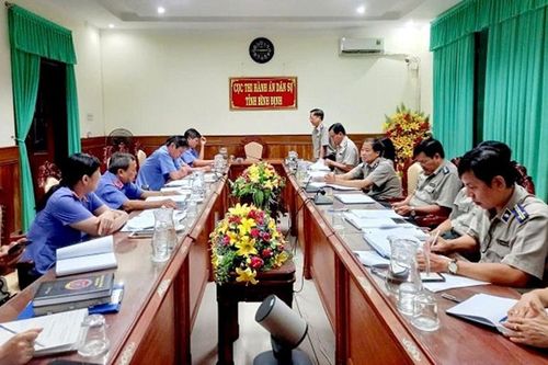 Công bố dự thảo kết luận trực tiếp kiểm sát tại Cục THADS tỉnh Bình Định