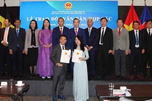 Sự đồng hành của kiều bào ở nước ngoài - 'năng lượng' để Việt Nam tạo đột phá