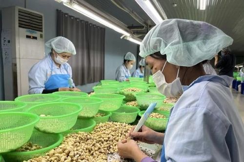 Không thực hành ESG, doanh nghiệp khó trụ trong chuỗi cung ứng toàn cầu