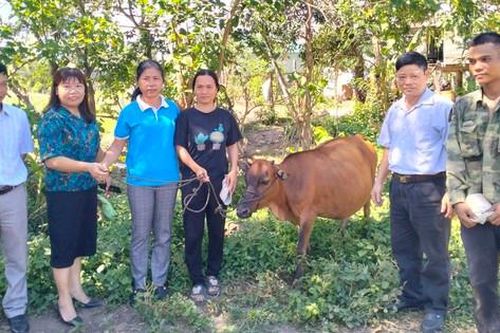 Quỹ Hỗ trợ phụ nữ phát triển tỉnh Gia Lai đồng hành cùng phụ nữ nghèo
