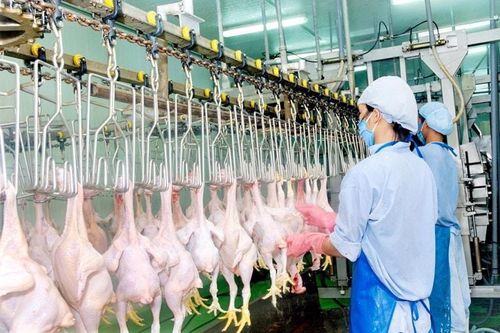 Singapore mong muốn mở rộng thêm các mặt hàng thực phẩm nhập khẩu từ Việt Nam