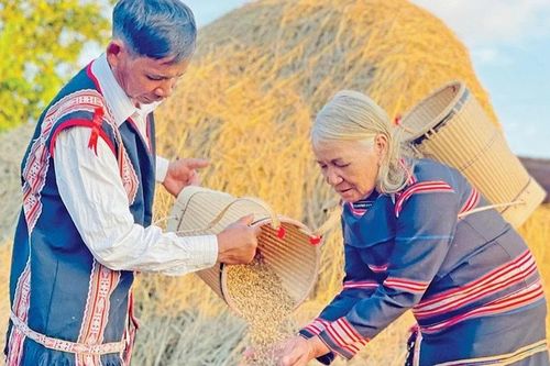 Góp gạo: Nét đẹp văn hóa cộng đồng của người Jrai