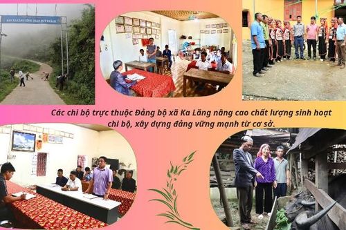 Kỳ II: Xây dựng tổ chức cơ sở Đảng vững mạnh toàn diện