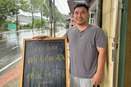 Tiệm Mèo Tree và tình người Đà Lạt