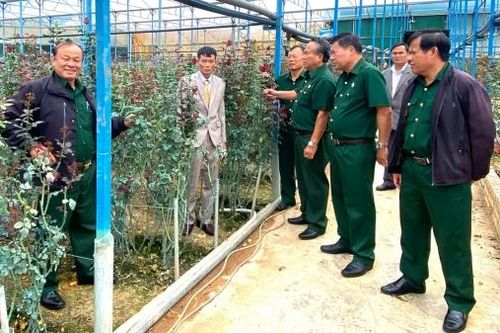 Vườn hồng nở hoa từ ý chí bộ đội Cụ Hồ