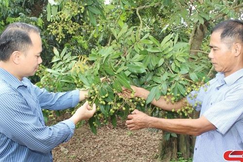 Năng động phát triển kinh tế