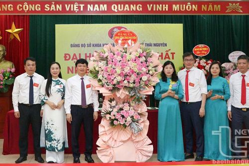 Khoa học - công nghệ và chuyển đổi số góp phần thúc đẩy phát triển trong giai đoạn mới