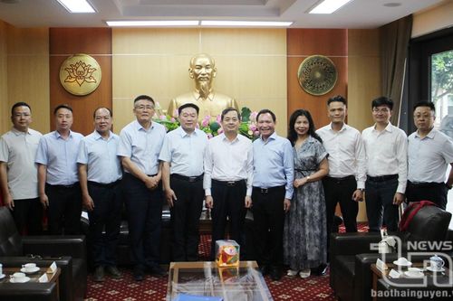 Đồng chí Phạm Hoàng Sơn làm việc với đại diện Tập đoàn XINFA