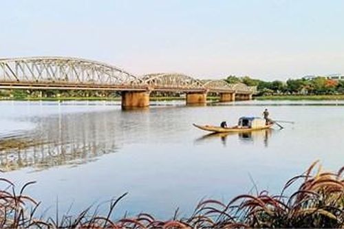 Check-in cùng lau tím bên sông Hương: Đừng bẻ hoa tạo dáng