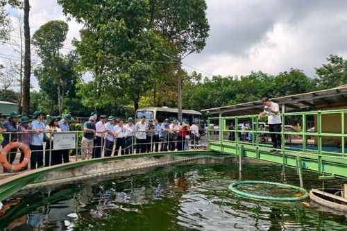 Cao su Đồng Nai tập trung phát triển mô hình sản xuất khép kín và ứng dụng công nghệ cao