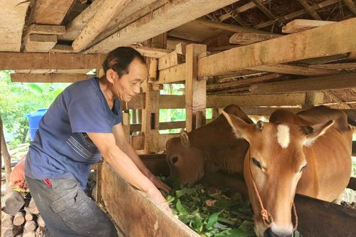 Tỷ lệ giải ngân vốn các chương trình mục tiêu quốc gia đạt thấp