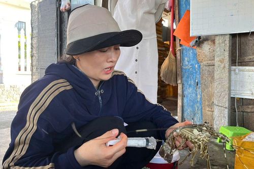 Lật tẩy chiêu trò bơm thạch vào tôm hùm chết – Thủ đoạn tinh vi cỡ nào?