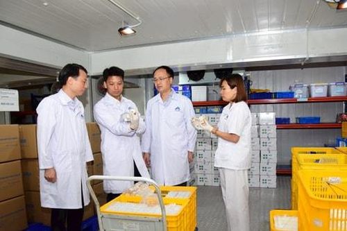 120.000 liều vắc xin bệnh dịch tả lợn châu Phi của Việt Nam xuất khẩu sang Indonesia