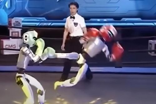 Robot đấu võ như người