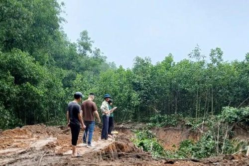 Ba Vì: xác định 4 đối tượng xúc trộm đất tại xã Cẩm Lĩnh