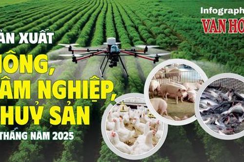 (Infographic) Sản xuất nông, lâm nghiệp, thủy sản 5 tháng năm 2025