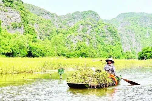 Về nơi khởi thủy nghề nông