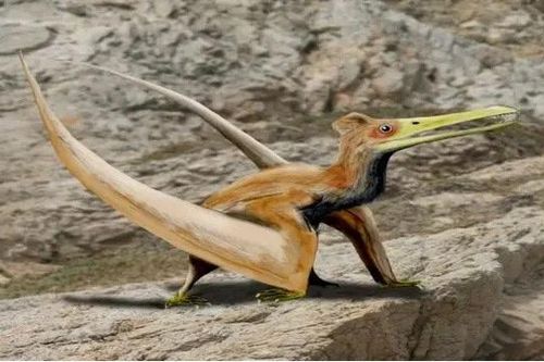 Hé lộ 'quái vật bầu trời' cổ đại đầu tiên ở Nhật sau 90 triệu năm