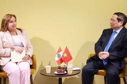 Việt Nam luôn là đối tác quan trọng hàng đầu của Peru ở khu vực Đông Nam Á