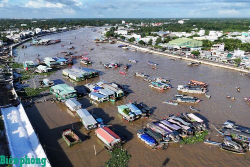 Những cánh chim lữ hành trên sông nước miền Tây