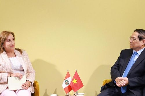 Thủ tướng Phạm Minh Chính hội kiến Tổng thống Peru, gặp Thủ tướng Quần đảo Solomon và Tổng thống Palau