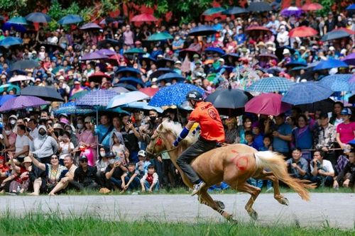Giải đua ngựa Bắc Hà: 32 'kỵ mã nông dân' khuấy động cao nguyên trắng