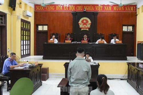Vận chuyển 270 kg ma túy, 2 bị cáo lĩnh án tù chung thân