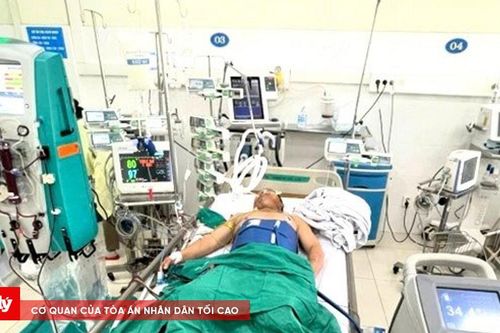 Cứu sống bệnh nhân ngừng tuần hoàn nhờ phương pháp hạ thân nhiệt chỉ huy