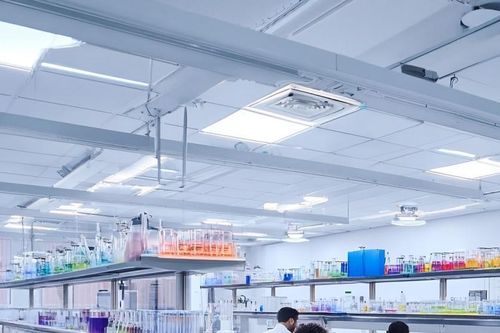 Cách các công ty dược phẩm đào tạo AI cho nhân viên