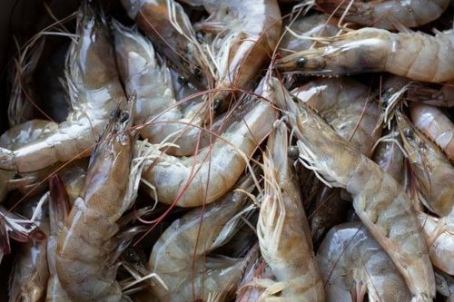 Cách đơn giản phân biệt tôm sạch và tôm bơm tạp chất