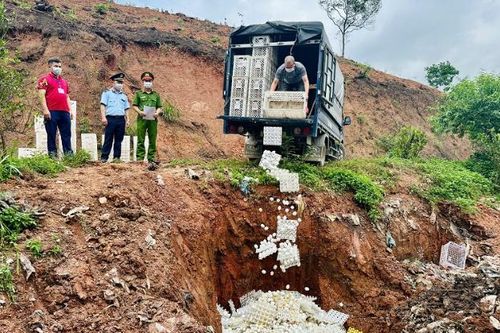 Tiêu hủy số lượng lớn trứng gia cầm nhập lậu từ Trung Quốc