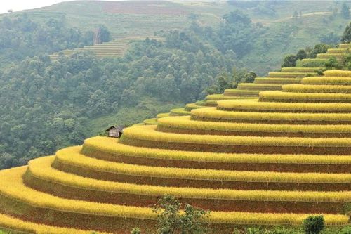 Hợp nhất Lào Cai và Yên Bái: Triển vọng tích cực phát triển du lịch xanh