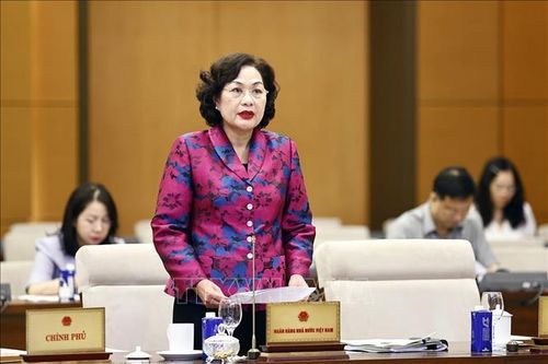 Ngân hàng Nhà nước sẽ tiếp tục rà soát các quy định về xử lý khoản vay đặc biệt