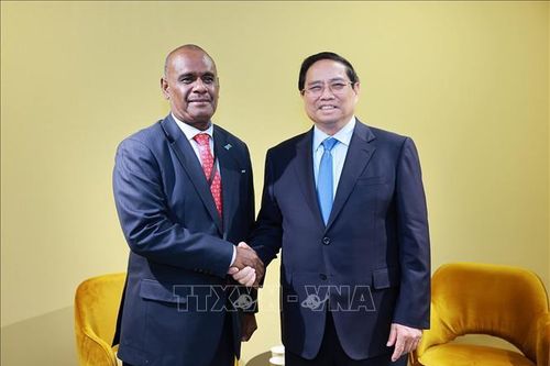 Thủ tướng Phạm Minh Chính gặp Thủ tướng Solomon