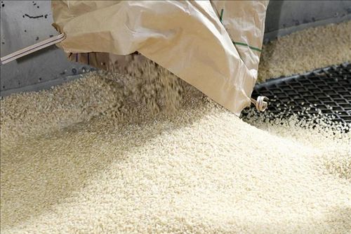 Nhu cầu cao đẩy giá gạo toàn cầu tăng trong tháng 5