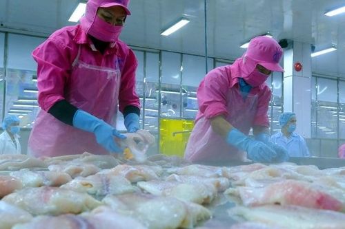 Triển vọng kinh tế Việt Nam vẫn u ám trước thời hạn thuế quan