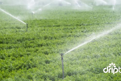 Nhà Bè Agri: Địa chỉ cung cấp béc tưới cây chất lượng, giá tốt tại TPHCM