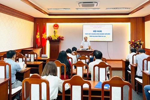 Phấn đấu tốc độ tăng trưởng ngành công nghiệp Gia Lai đạt 10,9%