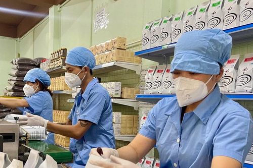 Gia Lai: Tỷ lệ cà phê chế biến đạt hơn 23%